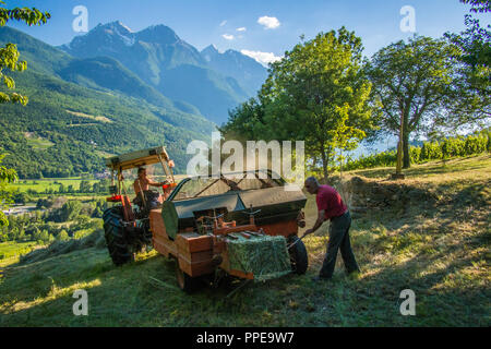 Fieno presso l'Agriturismo Les Granges in Valle d'Aosta Foto Stock