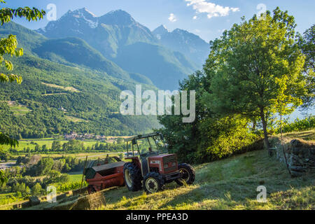 Una pausa durante la realizzazione di fieno presso l'Agriturismo Les Granges in Valle d'Aosta Foto Stock