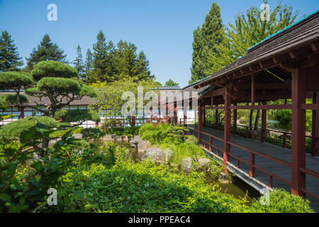 Japanischer Garten auf der Isle de Versailles in Nantes, Nantes, Isle de Versailles, Jardin Japonais - Nantes, Versailles Isola, giardino giapponese Foto Stock