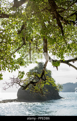 Spiaggia scene, Parco Nazionale di Corcovado, Osa Peninsula, Costa Rica Foto Stock