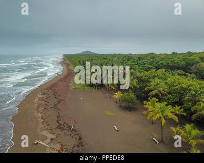 Spiaggia, Parco Nazionale di Tortuguero, Costa Rica Foto Stock