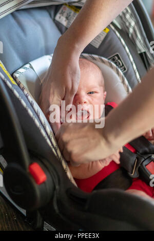 Wheat Ridge in Colorado - una giovane donna mette il suo neonato in un sedile di vettura. Foto Stock