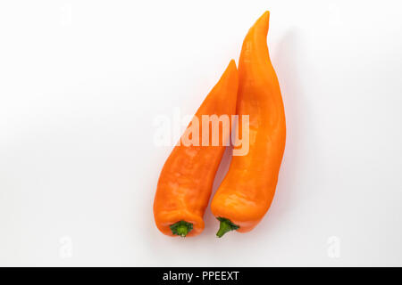 Primo piano di due Peperoni dolci d'arancia grezzi isolati su sfondo bianco Foto Stock