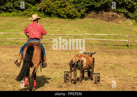 Italiano e cowboy americani, il riscaldamento in un international rodeo show. Vintage nostalgia in una giornata di sole al ranch. Redshirt, jeans blu, gli uomini. Foto Stock