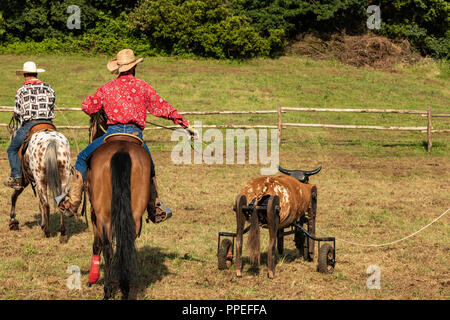 Italiano e cowboy americani, il riscaldamento in un international rodeo show. Vintage nostalgia in una giornata di sole al ranch. Redshirt, jeans blu, gli uomini. Foto Stock