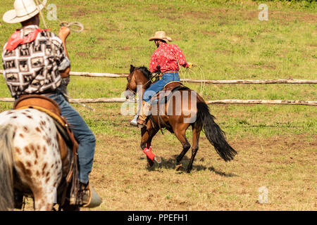 Italiano e cowboy americani, il riscaldamento in un international rodeo show. Vintage nostalgia in una giornata di sole al ranch. Redshirt, jeans blu, gli uomini. Foto Stock