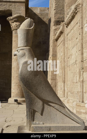 Egitto, Edfu. Tempio di Horus. Pronao. Periodo tolemaico. Esso fu costruito durante il regno di Tolomeo III e Tolomeo XII, 237-57 BC. Statua in granito del dio falco Horus indossa la doppia corona d'Egitto. Foto Stock