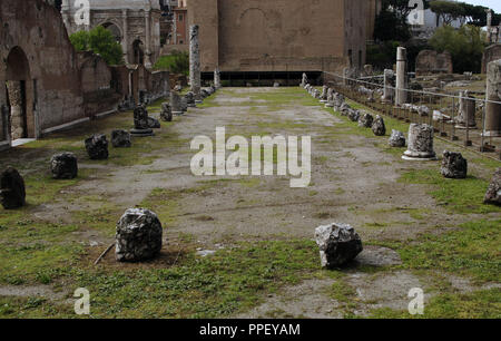 L'Italia. Roma. Basilica Aemilia. Costruito nel II secolo a.c. dai censori M. Fulvio Nobilior e Marcus Aemilius Lepidus. In seguito ricostruito. Foro Romano. Foto Stock