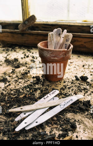 Scritto a mano le etichette di vegetali in un Potting Shed. Foto Stock