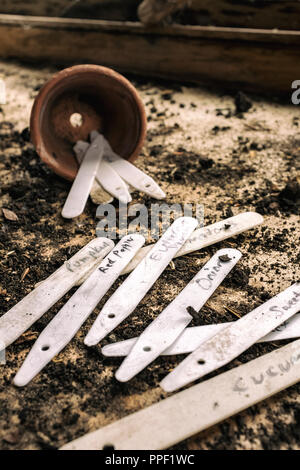 Scritto a mano le etichette di vegetali in un Potting Shed. Foto Stock