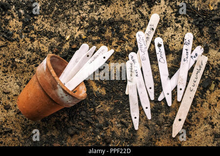 Scritto a mano le etichette di vegetali in un Potting Shed. Foto Stock