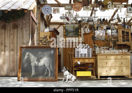 Flea stand Fruehjahrsdult (Fiera di primavera). Un cane è di guardia. Foto Stock