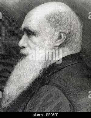 ROBERT CHARLES DARWIN (1809-1882). Il naturalista britannico. Autore dell'opera "l'origine delle specie", pubblicate nell'anno 1859. Xix secolo. Incisione. Foto Stock