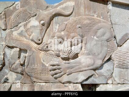 Il persiano art. Persepolis. Periodo achemenide. Palazzo Apadana. Primo palazzo costruito sotto Dario I nella nuova capitale, Persepoli. Sorge decorate con rilievi. Vi secolo e il V secolo A.C. Lion e bull combattimento. Repubblica islamica di Iran. Foto Stock