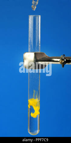 Soluzioni di potassio e ioduro in acqua e la soluzione di nitrato di piombo  in acqua vengono miscelati insieme, virava al giallo e formando un ioduro di  piombo Foto stock - Alamy