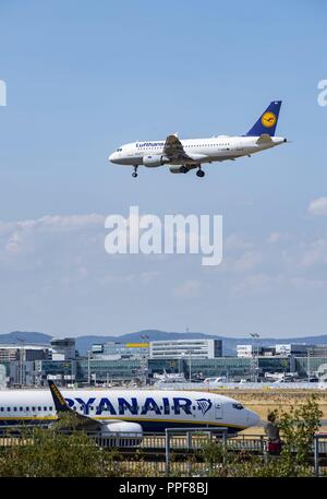 Gli aerei della Lufthansa (D-AIBD) e Ryanair all'aeroporto di Francoforte | Utilizzo di tutto il mondo Foto Stock