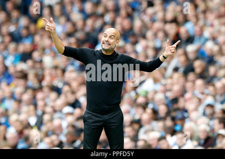 Manchester City manager Pep Guardiola gesti sul perimetro Foto Stock