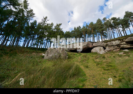 St Cuthbert's Cave, vicino Lowick, Northumberland Foto Stock