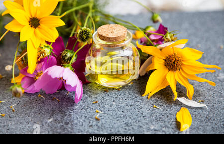 Olio aromaterapia con piante medicinali o erbe, fiori, essenziali in bottiglia di olio Foto Stock