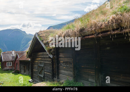 Costruzione in legno con erba che cresce su tetto a Flam village, Aurlandsfjord, (Aurlandsfjorden), Norvegia Foto Stock