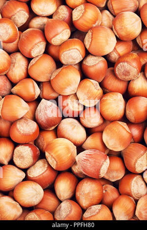 Materie di nocciole in guscio, sfondo alimentare Foto Stock