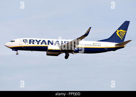 Irish Ryanair Boeing 737-800 con registrazione EI-FZT su corto finale per la pista 25L dell'aeroporto di Francoforte. Foto Stock