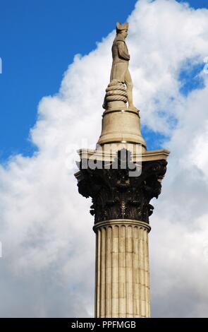 Nelson's Colonna (1840-1843). Progettato da William Railton (1800-1877), fu costruito per commemorare l'ammiraglio Orazio Nelson (1758-1805). Ordine corinzio e Dartmor granito. È coronato dalla pietra arenaria Craigleith statua di Nelson, da Edward Hodges Baily (1788-1867). Trafalgar Square. Londra. Regno Unito. Foto Stock