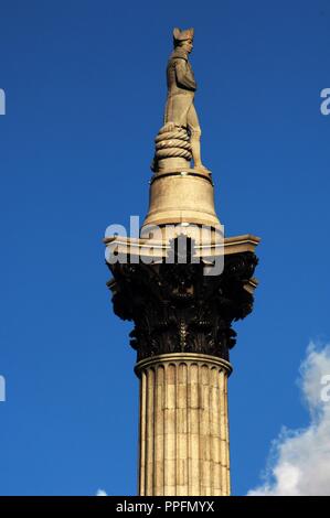 Nelson's Colonna (1840-1843). Progettato da William Railton (1800-1877), fu costruito per commemorare l'ammiraglio Orazio Nelson (1758-1805). Ordine corinzio e Dartmor granito. È coronato dalla pietra arenaria Craigleith statua di Nelson, da Edward Hodges Baily (1788-1867). Trafalgar Square. Londra. Regno Unito. Foto Stock