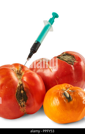Viziato marcio tre pomodori con siringa bloccato isolati su sfondo bianco. Foto Stock