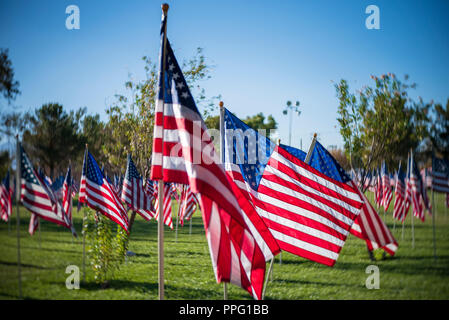 Righe di bandierine americane su erba verde sotto un cielo blu. Foto Stock