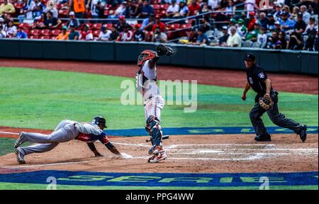 Abiatal Avelino de las Águilas Cibaeñas de Republica Dominicana .. Aspectos del segundo día de actividades de la Serie del Caribe con el partido de Foto Stock