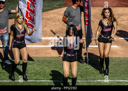 Animadoras, porritas chicas Tecate. . Acciones, duranti el partido de beisbol entre Criollos de Caguas de Puerto Rico contra las Águilas Cibaeñas de Foto Stock