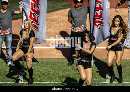 Animadoras, porritas chicas Tecate. . Acciones, duranti el partido de beisbol entre Criollos de Caguas de Puerto Rico contra las Águilas Cibaeñas de Foto Stock