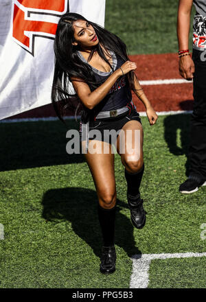 Animadoras, porritas chicas Tecate. . Acciones, duranti el partido de beisbol entre Criollos de Caguas de Puerto Rico contra las Águilas Cibaeñas de Foto Stock