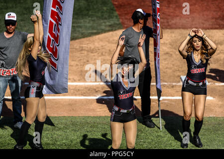 Animadoras, porritas chicas Tecate. . Acciones, duranti el partido de beisbol entre Criollos de Caguas de Puerto Rico contra las Águilas Cibaeñas de Foto Stock