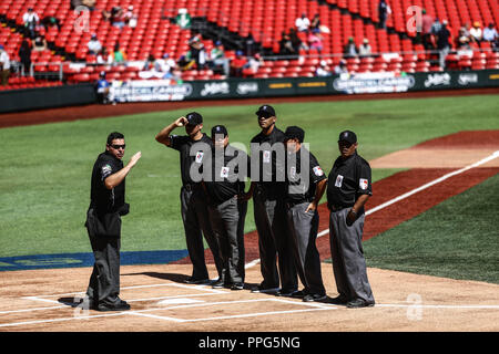 Ampayer, duranti el partido de beisbol entre Criollos de Caguas de Puerto Rico contra las Águilas Cibaeñas de Republica Dominicana, duranti la serie d Foto Stock