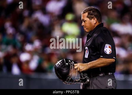 Ampayer , duranti el partido de beisbol de la Serie del Caribe con el encuentro entre Tomateros de Minatitlan de Mexico contra los Caribes de Anzoátegui Foto Stock