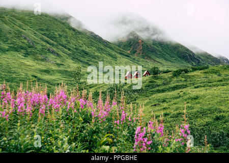 Abbandonate le cabine rosso sedersi nel verde delle lussureggianti montagne di Alaska's Hatcher passano vicino alla miniera di indipendenza. Viola fiori selvatici fireweed blurre intenzionalmente Foto Stock