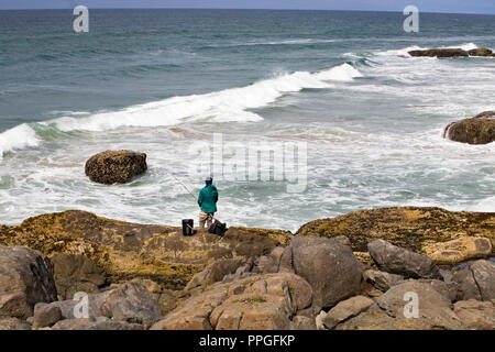 Un pescatore asiatici cast per la sabbia pesce persico off il barnacle coperto rocce lungo la costa del Pacifico nei pressi della cittadina di Yachats, Oregon Foto Stock