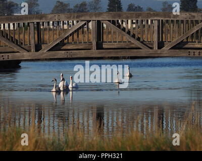 Sheerness, Kent, Regno Unito. 26 Sep, 2018. Regno Unito: Meteo una luminosa giornata soleggiata con un cielo azzurro in Sheerness, Kent. Credito: James Bell/Alamy Live News Foto Stock