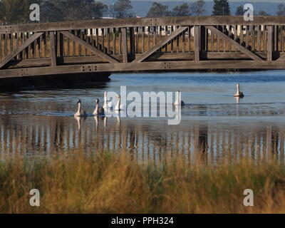 Sheerness, Kent, Regno Unito. 26 Sep, 2018. Regno Unito: Meteo una luminosa giornata soleggiata con un cielo azzurro in Sheerness, Kent. Credito: James Bell/Alamy Live News Foto Stock