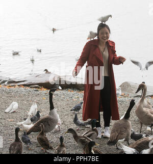 Lago di Windermere Cumbria Regno Unito 26 Settembre nuvoloso pomeriggio turistico cinese si avvicina all'uccelli locali Credit:Gordon Shoosmith/Alamy Live News Foto Stock