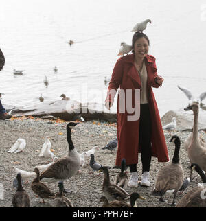 Lago di Windermere Cumbria Regno Unito 26 Settembre nuvoloso pomeriggio turistico cinese si avvicina all'uccelli locali Credit:Gordon Shoosmith/Alamy Live News Foto Stock