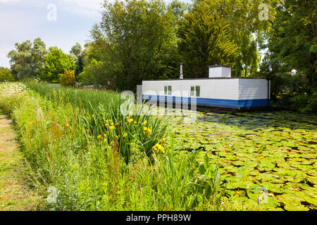 Case galleggianti sul canale di Chichester West Sussex England Regno Unito Europa Foto Stock