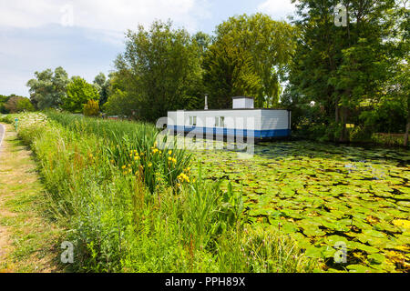 Case galleggianti sul canale di Chichester West Sussex England Regno Unito Europa Foto Stock