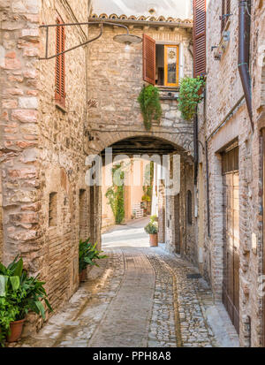 Vista panoramica di Spello, floreale e pittoresco villaggio in Umbria, provincia di Perugia, Italia. Foto Stock