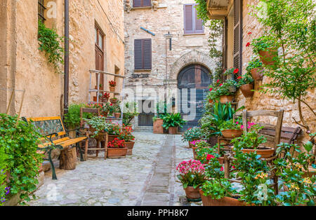 Vista panoramica di Spello, floreale e pittoresco villaggio in Umbria, provincia di Perugia, Italia. Foto Stock
