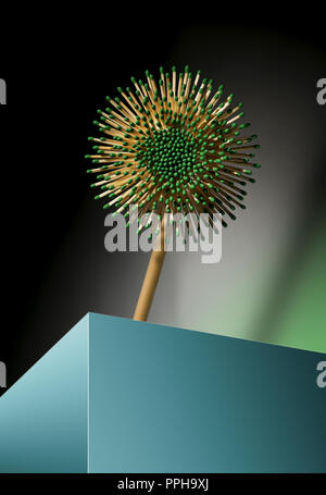 Round Flower con petali di legno corrisponde con punte di colore verde Foto Stock