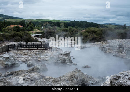 Hells Gate, Nuova Zelanda - 1 marzo 2018. Vapore sorge la piscine geotermiche a Hell's Gate. Foto Stock