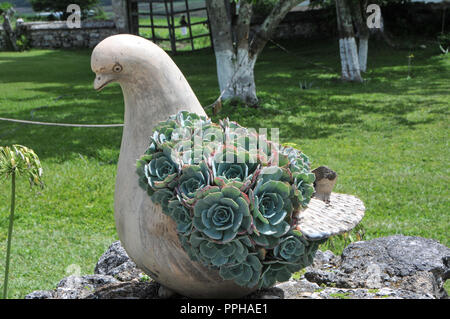 In Chiapas, Messico paesaggi e still life Foto Stock